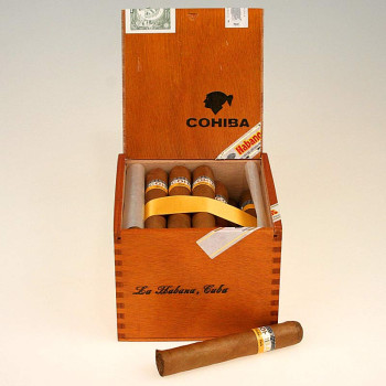 Cohiba Robustos 1/25 - 1