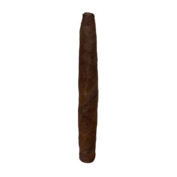 Ibis Antiguo Figurado 5er - 2