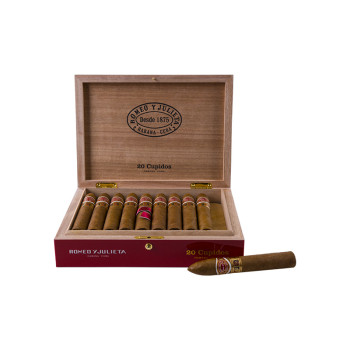 RyJ Cupidos 1/20 - 3