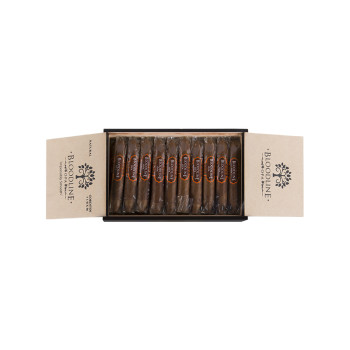 Esteban Carreras Bloodline Natural Gordito 1/20