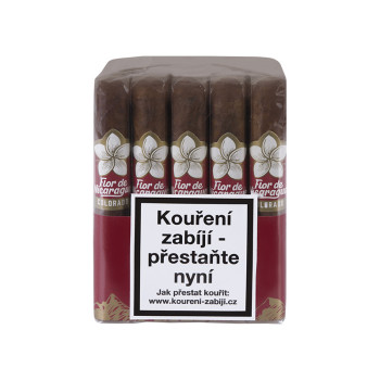 Flor de Nicaragua Robusto 1/20