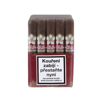 Flor de Nicaragua Toro 1/20