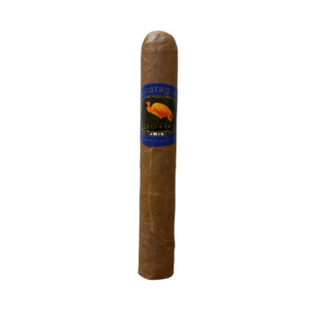 Ibis Robusto Nicaragua 1/10 - 2